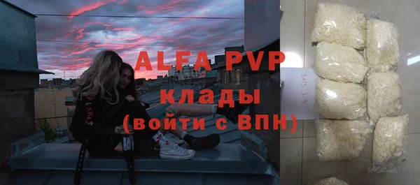 стаф Алзамай