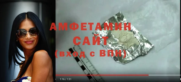 стаф Алзамай