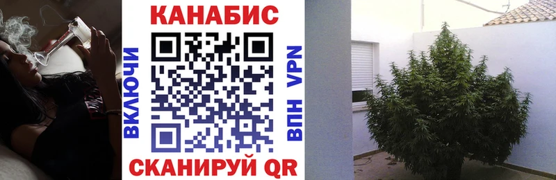 Конопля ГИДРОПОН  продажа наркотиков  Лесосибирск 